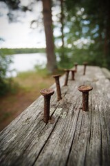 Rusty Nails On Weathered Wooden Planks By Lakeside