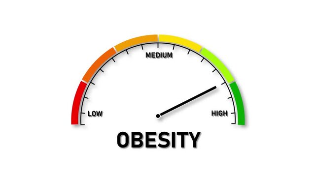 Obesity Level Meter Showing High Level on White Background gauge dial