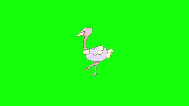 Looping 2D animation of a cute pastel purple cartoon ostrich walking in place on a bright green chroma key background &mdash; smooth walk cycle with long legs striding naturally, body bouncing gently.