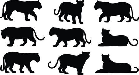 Panther big cat silhouettes collection with walking standing and resting wild feline animals isolated on white background vector set © Itz Rakib