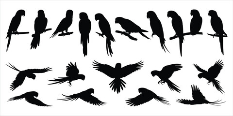 Collection of black parrot silhouettes in various poses on white background Keywords: parrot, macaw, cockatoo, silhouette, bird © Shakila