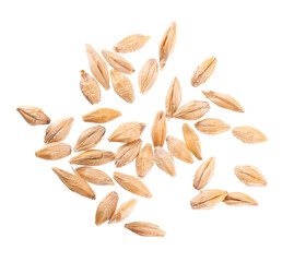 Malted barley grains isolated on white background. Barley seeds close up. Clipping path. Top view.