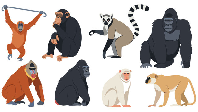 Diverse collection of primates including a gorilla chimpanzee lemur orangutan and various monkeys in realistic flat design style.