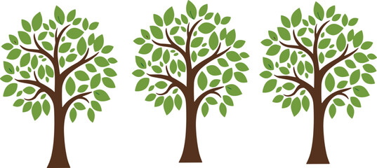 Green Leafy Tree Set Nature Plant Forest Ecology Environment Cartoon Style Vector Illustration Collection © Sumon Creative