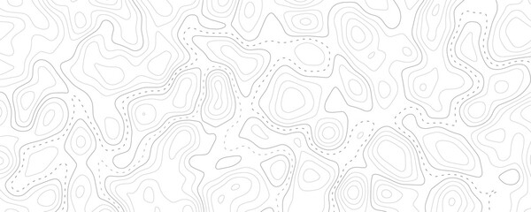 Minimalist topographical line art background with geographic contour maps for modern design © VxGFX