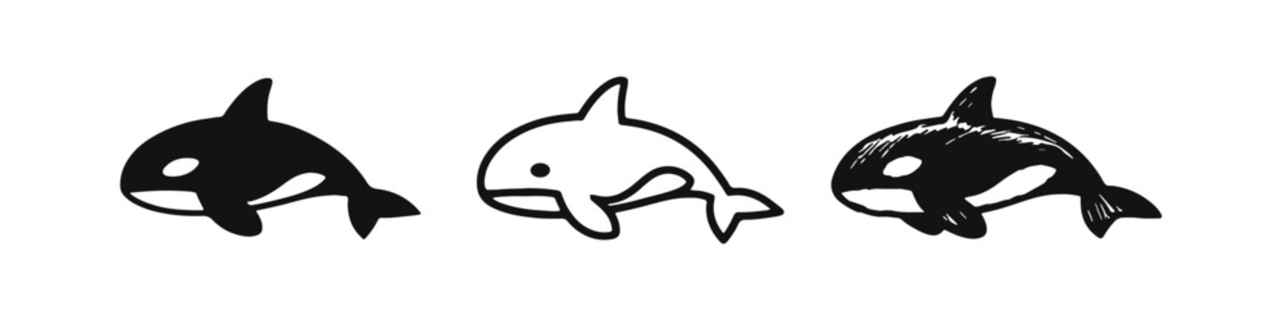 Cute Killer Whale Orca Icons Set - Hand Drawn Black and White Marine Mammal Vector Illustration