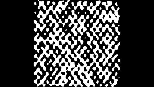 Kinetic Shape 60 &ndash; Animated Geometric Elements, Abstract Motion Design Pack, Modern Dynamic Shapes for Presentation and Social Media Content