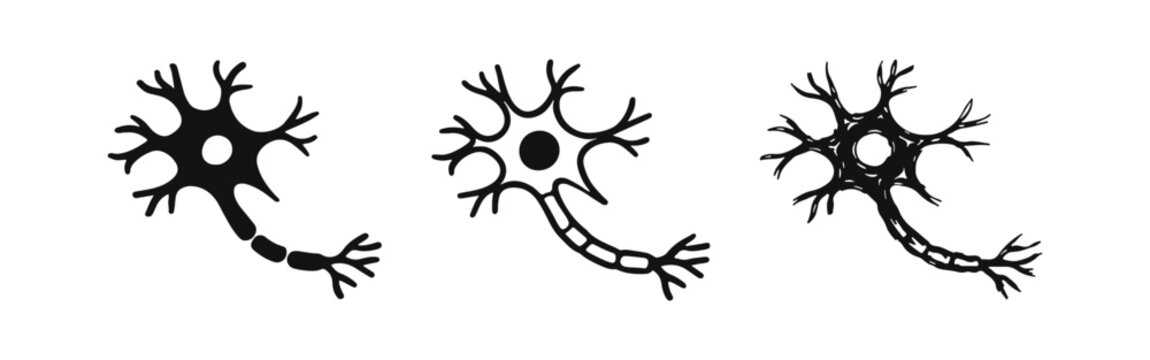 Human Neuron Cell Hand Drawn Doodle Icon Set. Brain Nerve System Organ Design.