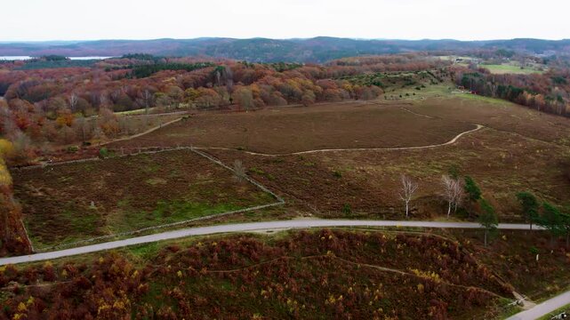 Aerial drone shot of autumn wetlands and open fields with winding road and surrounding forest landscape at Fjaras Bracka in Sweden