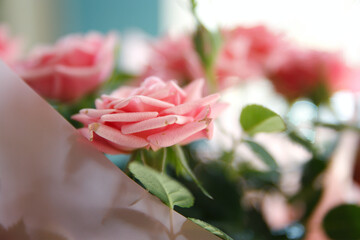 Piękny bukiet różowych róż na niebiesko-białym tle  © Asnyko