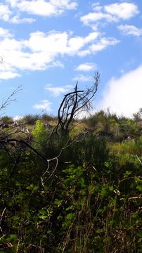 Moving clouds over the Sierra of Tandil, Argentina. Vertical, for mobile.