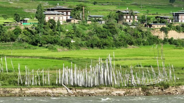 Aerial view of prayer flags fluttering by the river, contrasting with the lush green rice fields and the houses nestled on the hillside, Punakha, Punakha, Bhutan.