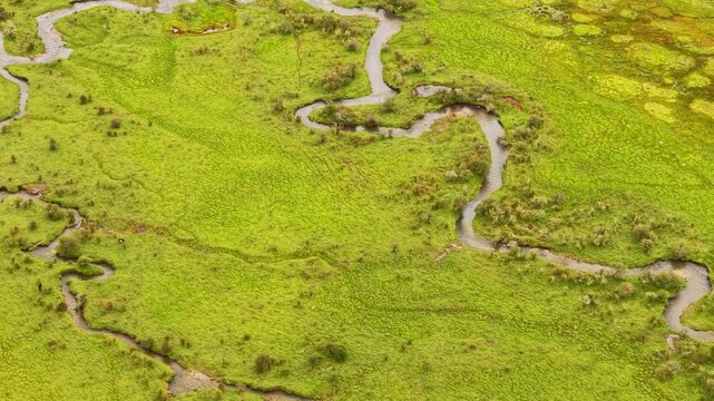Aerial view of the winding streams cutting through the vibrant green landscape of the Phobjikha Valley, creating a beautiful contrast, Nubding, Bhutan.