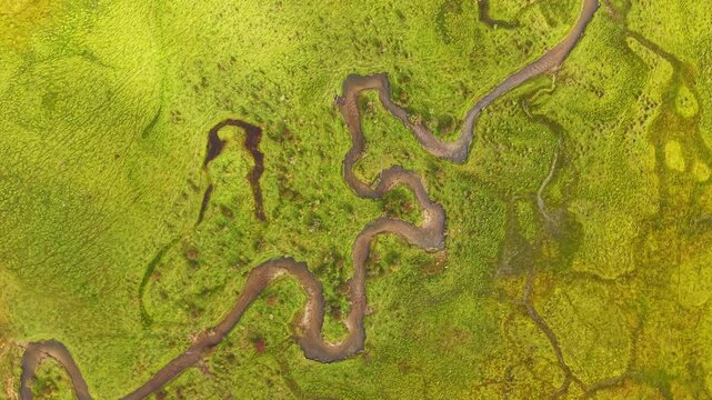 Aerial view of a meandering river snaking through the lush green of Phobjikha Valley, creating a beautiful contrast of colors and textures, Nubding, Bhutan.