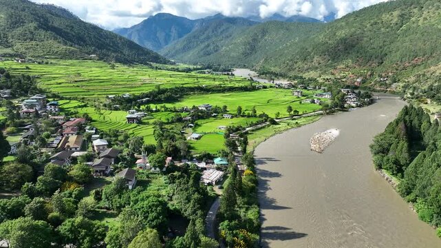 Aerial view of terraced paddy fields meeting a river in a lush green valley, with buildings nestled between the fields and mountains, Punakha, Punakha, Bhutan.