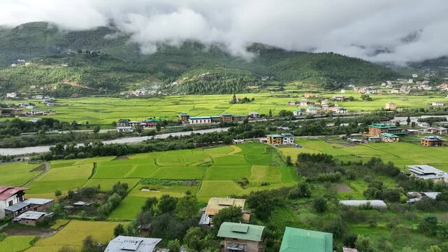 Aerial view of lush green paddy fields contrasting with the flowing river, under a cloudy sky, highlighting the natural beauty, Paro, Bhutan.