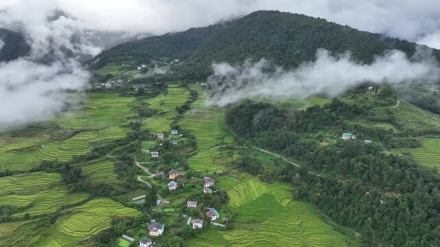 Aerial view of the lush green terraced landscape contrasting with the misty mountains and scattered houses, Punakha, Punakha, Bhutan.