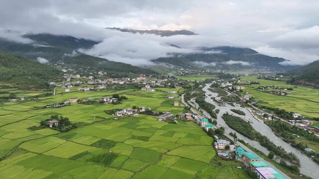 Aerial view of vibrant green rice fields, a winding river, and houses nestled in the valley beneath cloud-shrouded mountains, Paro, Bhutan.