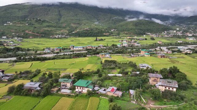 Aerial view of structures contrasting with lush green rice fields bisected by a winding river, showcasing the serene beauty of Paro, Bhutan.