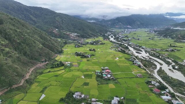 Aerial view of a river snaking through vibrant green cultivated fields, contrasting with the dark mountains and cloudy sky, Paro, Bhutan.