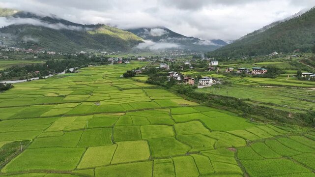 Aerial view of vibrant green rice fields and scattered dwellings nestled between cloud-kissed mountains, creating a serene landscape, Paro, Bhutan.