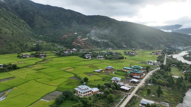 Aerial view of vibrant green fields contrasting with traditional buildings, nestling between lush mountains and a winding river, Paro, Bhutan.