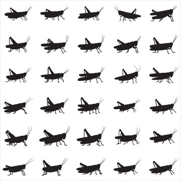 Grasshopper Silhouette Clipart