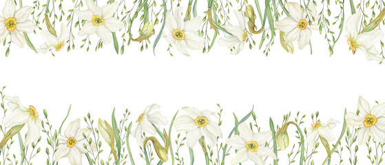 Watercolor Daffodils with leaves and wild grasses square border on isolated background. Hand drawn spring blooming white flowers frame with copy space for text. Wedding greeting cards, invitations. © Masha_tolk_art