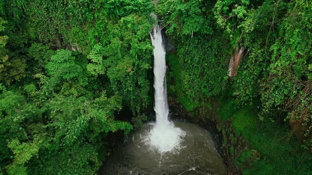 Aerial drone view of a high waterfall cascading into a pool in a lush tropical forest in East Java, Indonesia