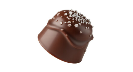 Obraz premium Gourmet Dark Chocolate Truffle with Sea Salt Crystals