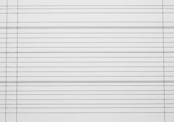 Fototapeta premium Simple horizontal lines on a white background