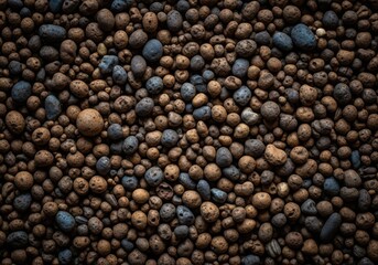 Scattered roasted coffee beans in various shades of brown and black