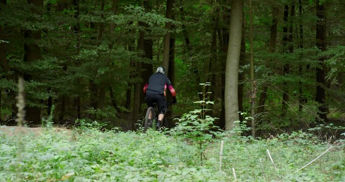 Rear View of Professional Mountain Biker Jumping Mid-Air on a Forest Trail, Extreme Action Shot of MTB Rider Performing Stunt in Green Summer Woods with Cinematic Lighting and Motion