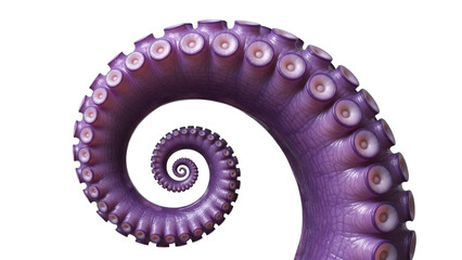 Purple octopus tentacle spiral isolated