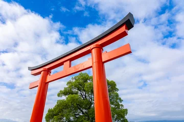 Fototapete Torii Tore Framing vermilion torii gate under blue sky in Kyoto during sunny day with lush trees, Japan   © lara-sh