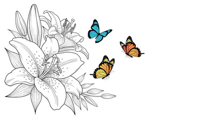Fototapeta premium Detailed lily blossoms in line art style are accompanied by three colorful butterflies in blue orange and yellow tones flying nearby.