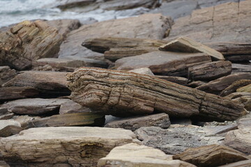 Hong Kong Tung Ping Chau