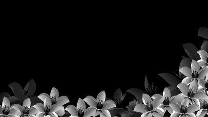 Elegant white lilies bloom in a striking grayscale composition © Etika