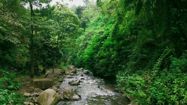 Lush tropical river flowing through a green forest with rocks and boulders in East Java, Indonesia