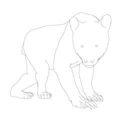 Detailed black and white contour drawing of a bear on a clean white background. The illustration features realistic shading in its fur and detailed eyes, nose, and mouth.
