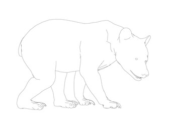 A realistic black and white contour drawing of a bear with an alert expression. Its detailed fur, wide eyes, and curled tail are clearly defined on a plain white background.