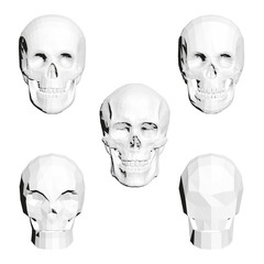 Low poly human skulls arranged symmetrically on a white background. Each skull features a unique polygonal shape and texture with a gradient color palette from light to dark, creating.