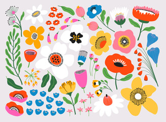 Hand drawn colorful set of abstract flowers and plants. Simple floral collection with different types of decorative plants. Botanical doodle design for holiday decorations, card, invitation, clipart