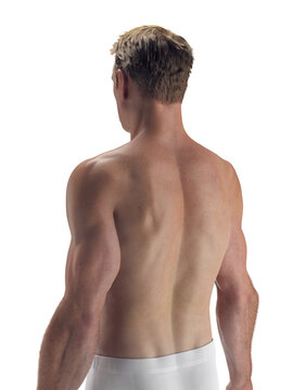 A Detailed Depiction Of The External Features Of The Body Of A Man