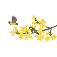 vector drawing bird, great tits at spring flowering forsythia branch with yellow flowers and green leaves, hand drawn wildlife illustration © cat_arch_angel