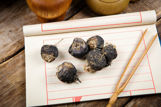 Black Cohosh Roots on Notebook with Herbal Medicine Documentation