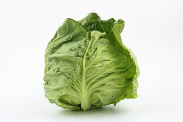 旬の野菜である春キャベツの白背景素材