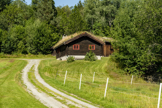 View of a rustic wooden house with a grass roof stands peacefully at the end of a winding dirt track, blending into the lush green landscape, Heddal, Telemark, Norway.