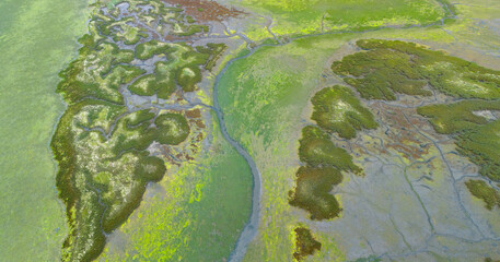 Aerial drone view of the low tide landscape of the marshes near the village of Escalante in the Santo&ntilde;a, Victoria and Joyel Marshes Natural Park. Cantabria. Spain. Europe