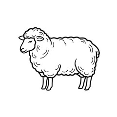 Obraz premium Woolly sheep stands in profile view illustrating livestock farming and animal husbandry on a plain background.